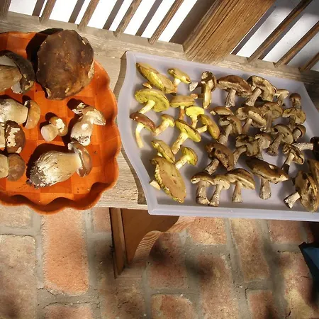 Orsegi Tornacos Vendegfogado 3*