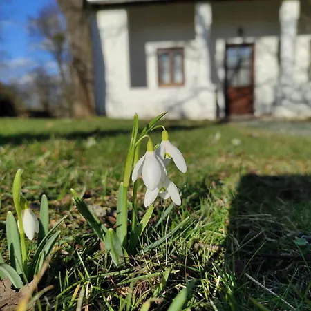 Orsegi Tornacos Vendegfogado 3*