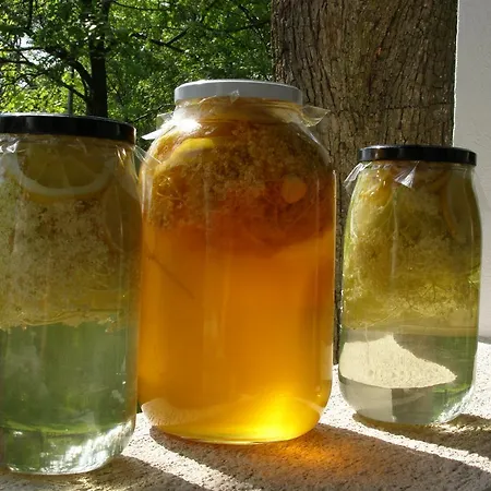 Gasthuis Orsegi Tornacos Vendegfogado 3*