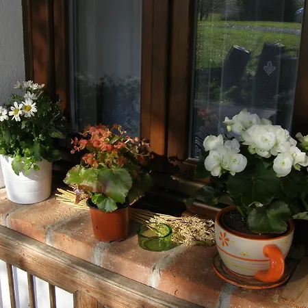 Orsegi Tornacos Vendegfogado Gasthuis Felsőszenterzsébet