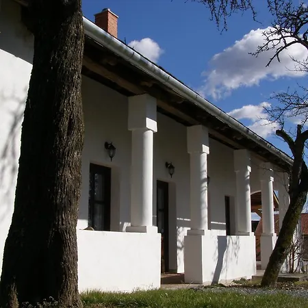 Gasthuis Orsegi Tornacos Vendegfogado Felsőszenterzsébet