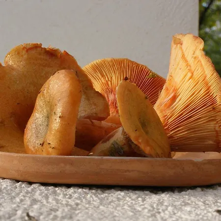 őrségi Tornácos Vendégház