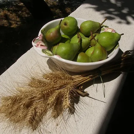 Orsegi Tornacos Vendegfogado