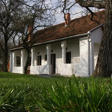 Gasthuis Orsegi Tornacos Vendegfogado Felsőszenterzsébet