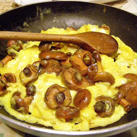 Gasthuis Orsegi Tornacos Vendegfogado Felsőszenterzsébet